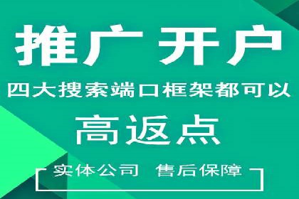 SEO与SEM案例分析：提升网站排名策略